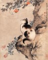 伝統的な中国の神泉猫